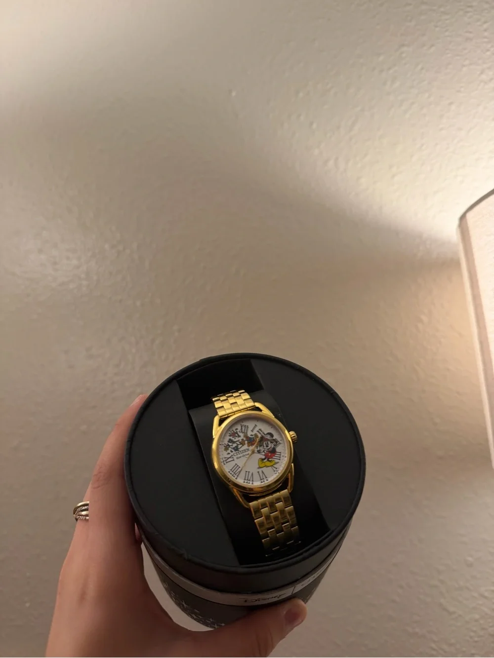 Citizen Gold-Tone Women's Watch with Character Dial